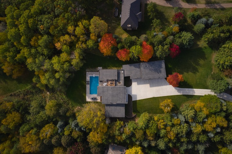 Cloud Forest - Image 15