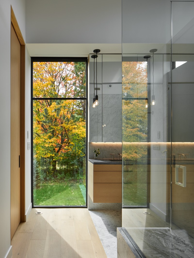 Cloud Forest - Image 25