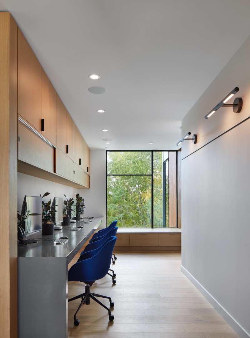 Cloud Forest - Image 22