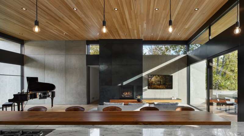 Cloud Forest - Image 20